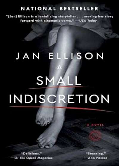 A Small Indiscretion, Paperback