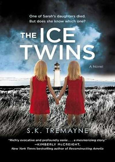 The Ice Twins, Paperback