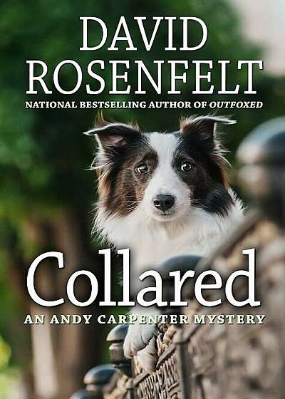 Collared, Hardcover