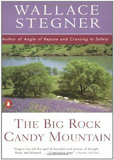 The Big Rock Candy Mountain, Paperback