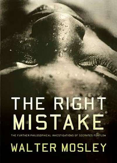 The Right Mistake, Paperback
