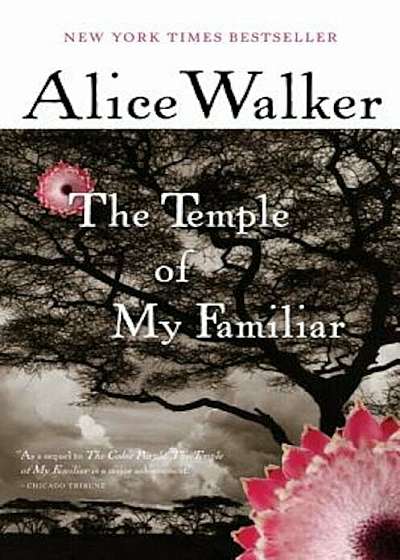 The Temple of My Familiar, Paperback