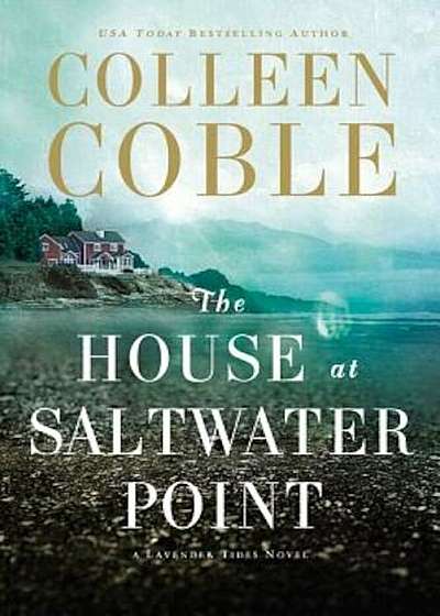 The House at Saltwater Point, Paperback