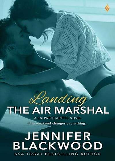 Landing the Air Marshal, Paperback