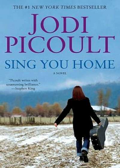 Sing You Home, Paperback