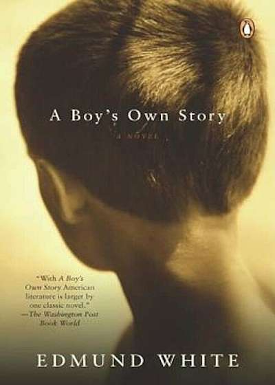 A Boy's Own Story, Paperback