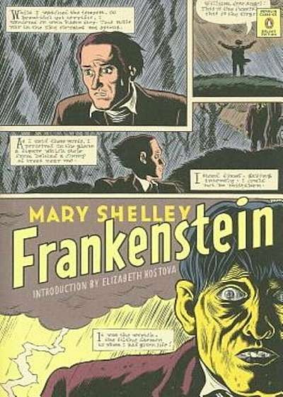 Frankenstein: Or the Modern Prometheus, Paperback