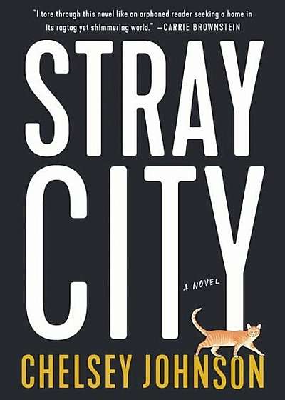 Stray City, Hardcover