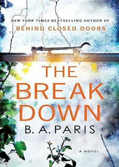 The Breakdown, Paperback