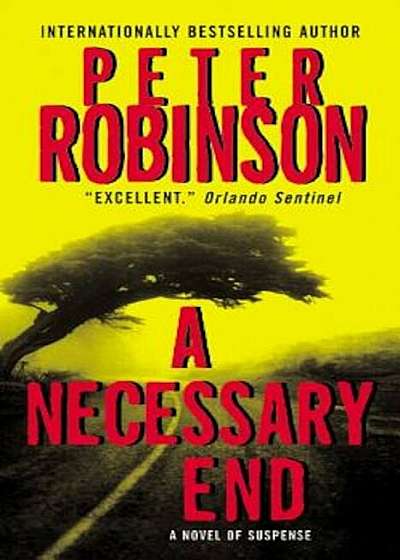 A Necessary End, Paperback
