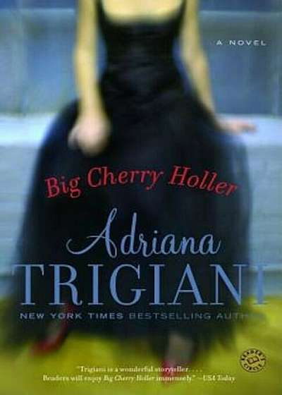 Big Cherry Holler, Paperback