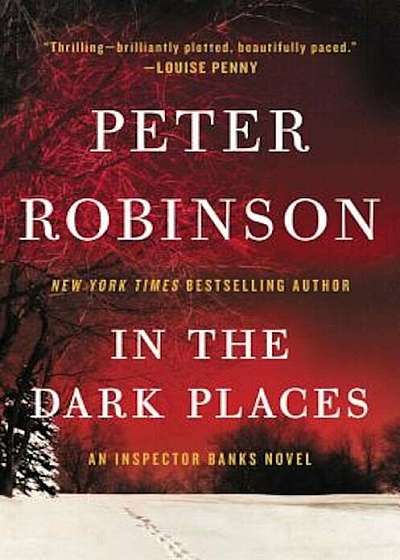 In the Dark Places, Paperback