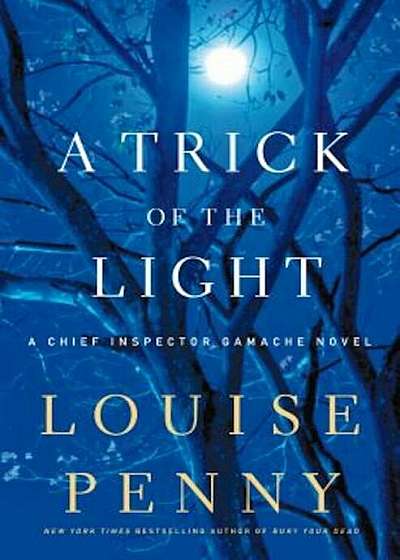 A Trick of the Light, Hardcover