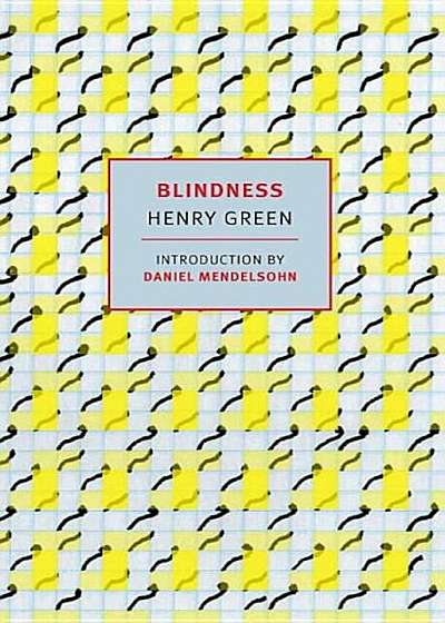 Blindness, Paperback