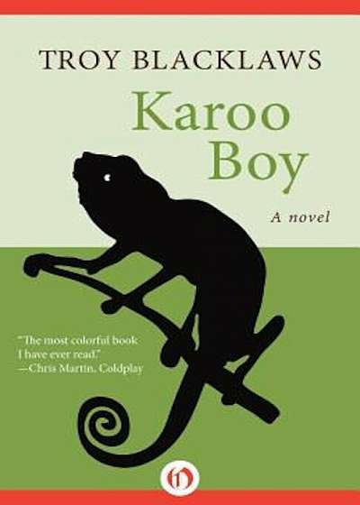 Karoo Boy, Paperback