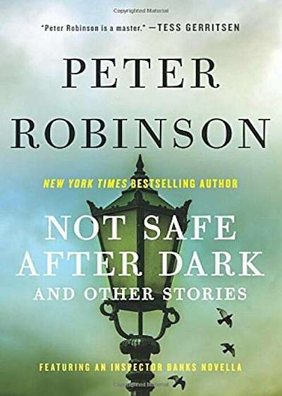 Not Safe After Dark: And Other Stories, Paperback