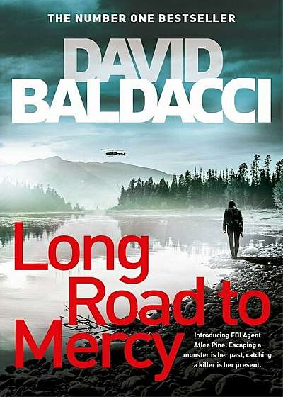 Long Road to Mercy, Hardcover
