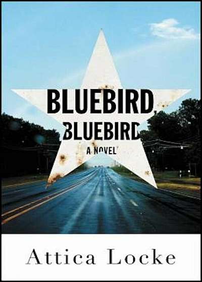 Bluebird, Bluebird, Hardcover