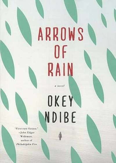 Arrows of Rain, Paperback