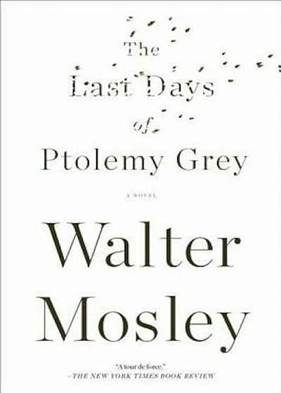The Last Days of Ptolemy Grey, Paperback