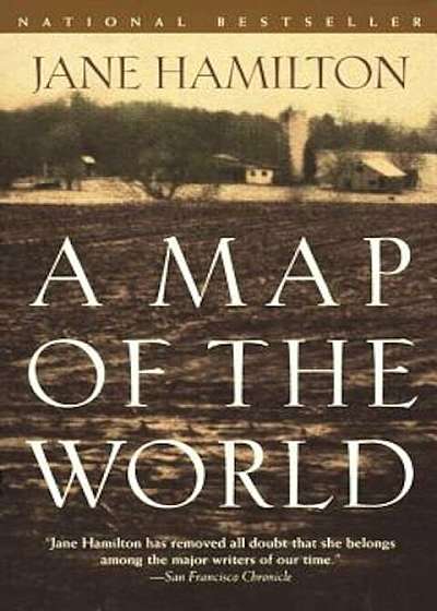 A Map of the World, Paperback