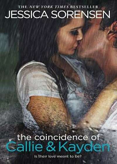 The Coincidence of Callie & Kayden, Paperback