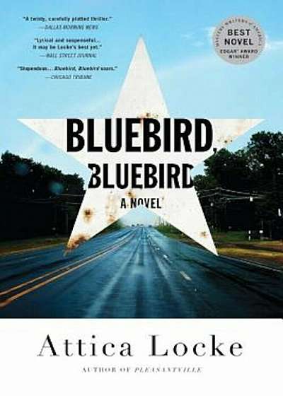 Bluebird, Bluebird, Paperback