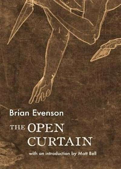 The Open Curtain, Paperback