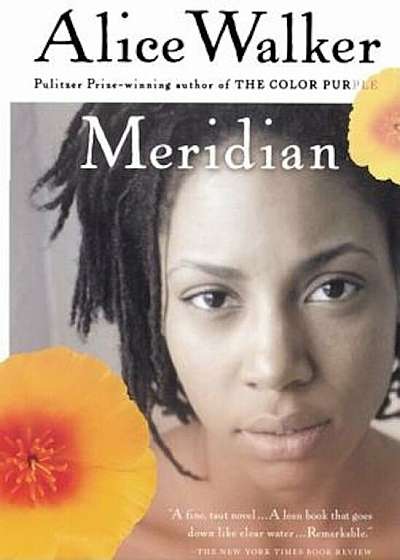 Meridian, Paperback