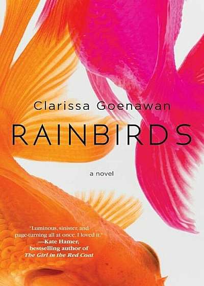 Rainbirds, Hardcover