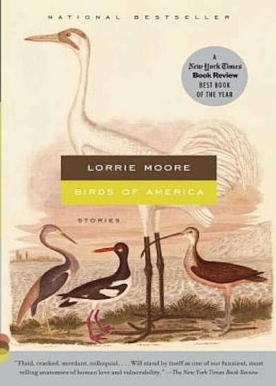 Birds of America: Stories, Paperback
