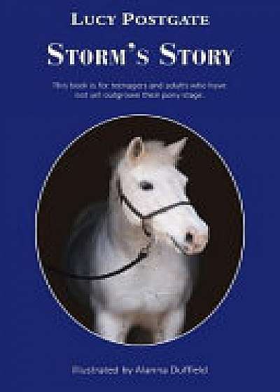 Coperta cărții Storm's Story