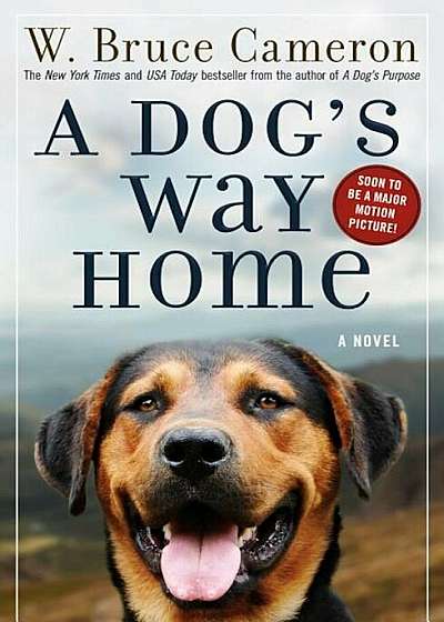 A Dog's Way Home, Paperback