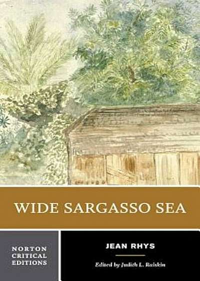 Wide Sargasso Sea: Backgrounds, Criticism, Paperback