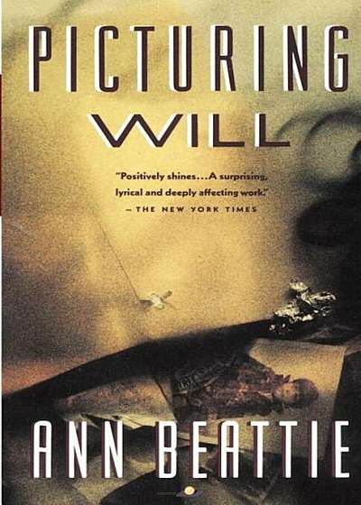Picturing Will, Paperback