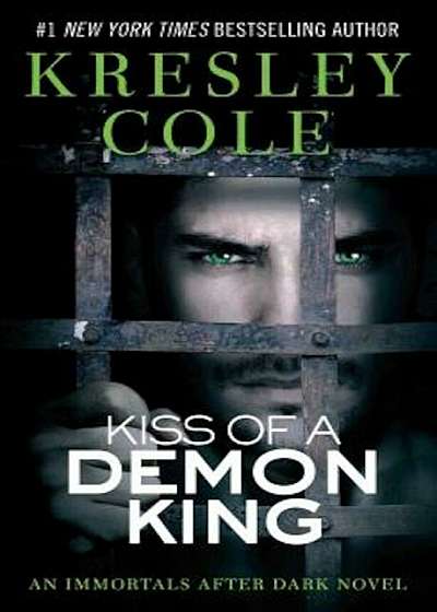 Kiss of a Demon King, Paperback