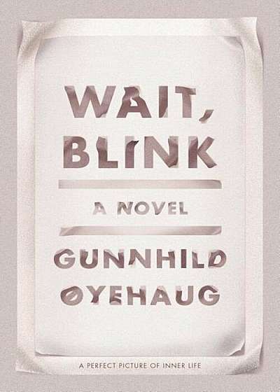 Wait, Blink: A Perfect Picture of Inner Life: A Novel, Hardcover