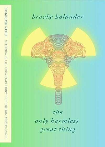 Only Harmless Great Thing, Paperback