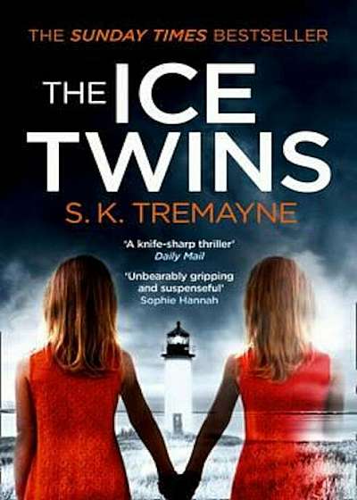 Ice Twins, Paperback