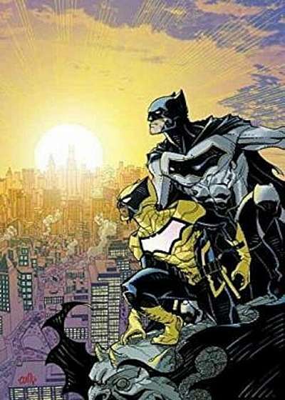 Batman and the Signal, Paperback