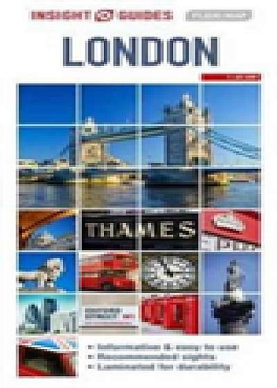 Coperta cărții Insight Flexi Map London
