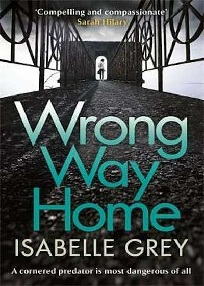 Wrong Way Home, Hardcover