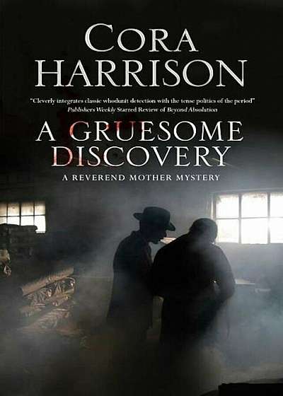 A Gruesome Discovery: A Mystery Set in 1920s Ireland, Hardcover