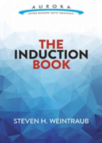 Coperta cărții Induction Book de Steven Weintraub
