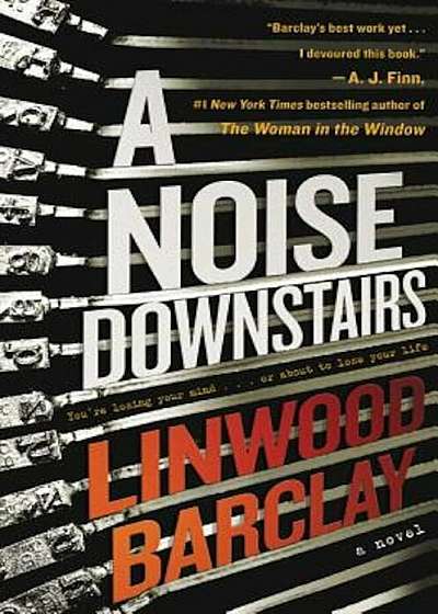 A Noise Downstairs, Hardcover