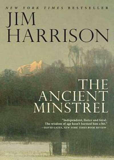 The Ancient Minstrel: Novellas, Paperback