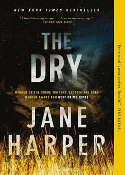 The Dry, Paperback