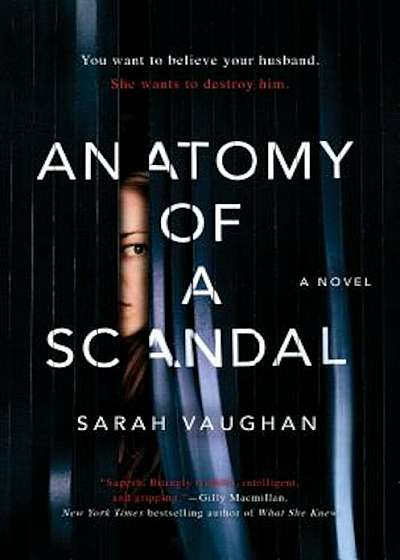 Anatomy of a Scandal, Hardcover