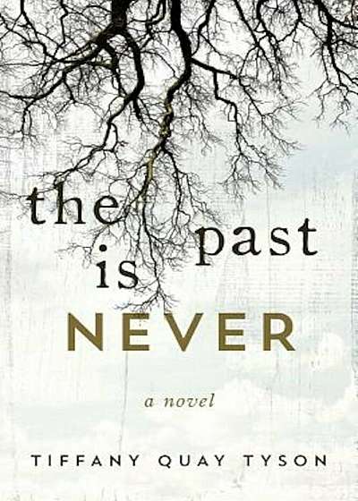 The Past Is Never, Hardcover
