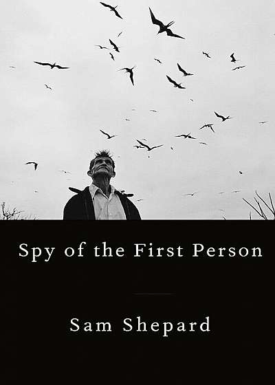 Spy of the First Person, Hardcover